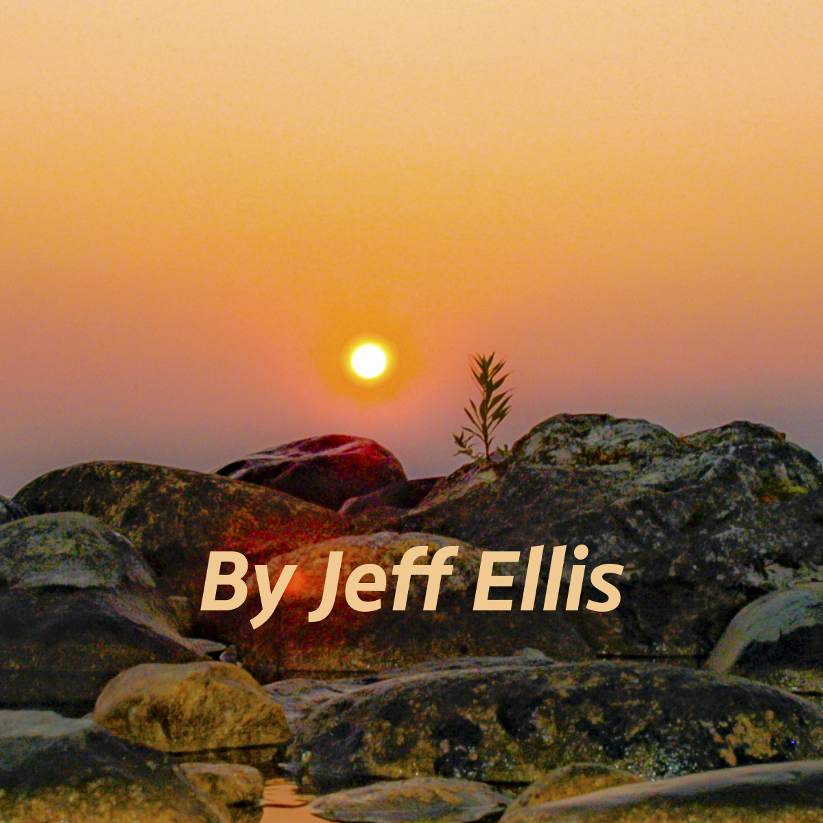 Photos By Jeff Ellis
